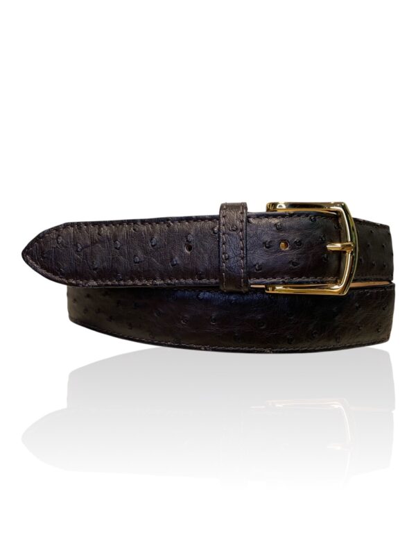 Hele mooie Struisvogel Riccamente leren riem Brownies bruin